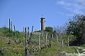 VBS_0971 - Torre dei Contini - Canelli (AT)